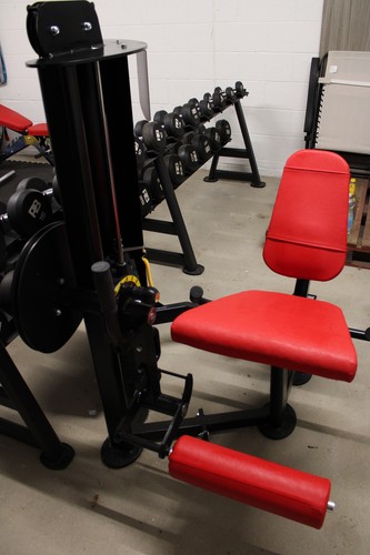 Seated leg extension - r2,