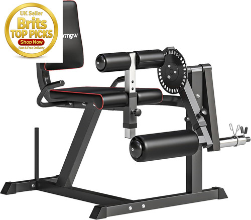Seated leg extension and curl - seated,