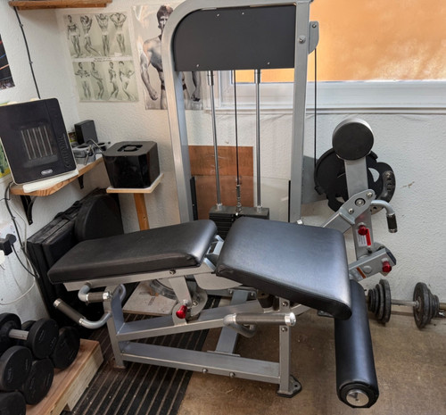 Dual leg extension - , curl